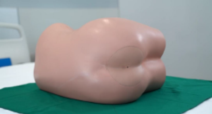Lower GI Endoscopy Training Model